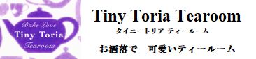 TinyToria-HP01